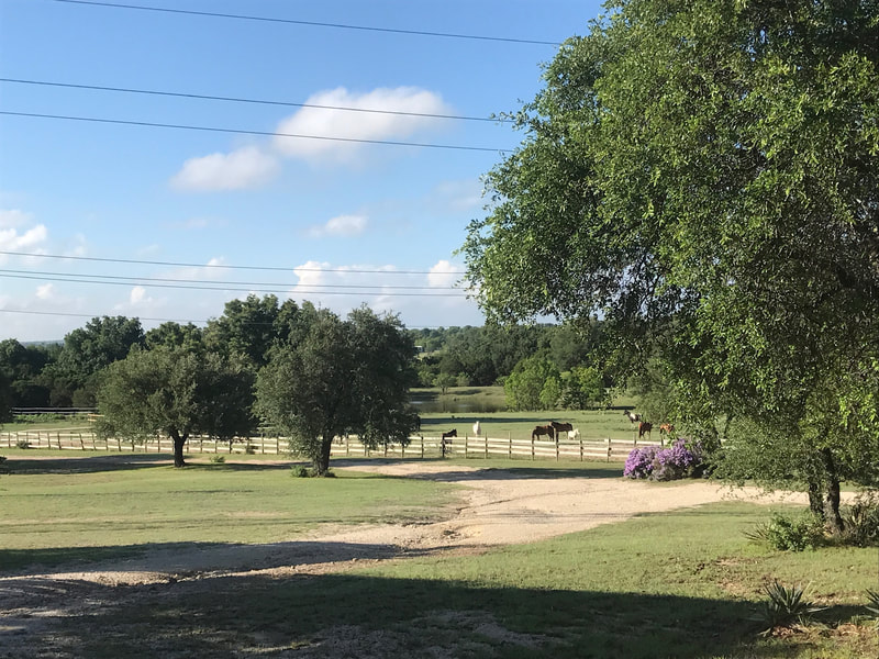 Scenic view of ranch