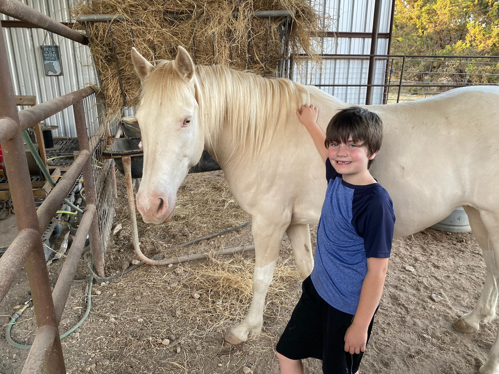 Boy with white horse